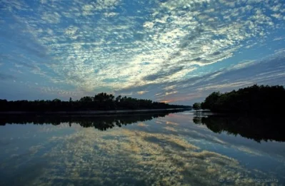 সুন্দরবন